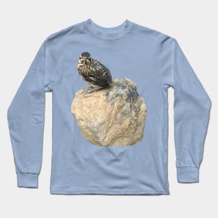 Fledgling on a Rock Long Sleeve T-Shirt